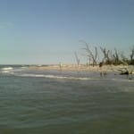 Shelling along Redfish Pass, North Captiva. Hurricane Irma, Power Back On, Shelling , Sanibel Fishing & Captiva Fishing, Sanibel Island, Thursday, September 14, 2017.