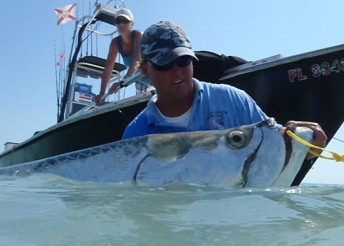 File Photo: Jimmy Burnsed and 250 LB Tarpon @ Boca Grande Pass In 2011. “Ding” Darling & Doc Ford’s Tarpon Tournament.