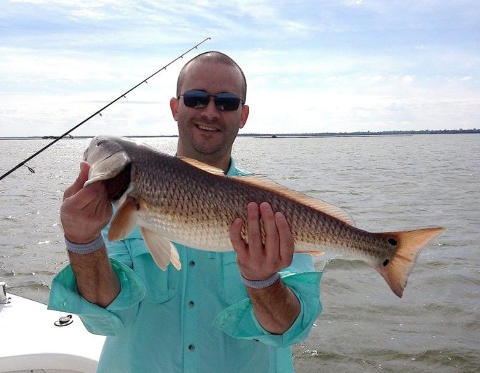 Redfish, Buck Key Mangroves, Sanibel Fishing & Captiva Fishing, Sunday, 2-7-16 ~ #Sanibel #Captiva.