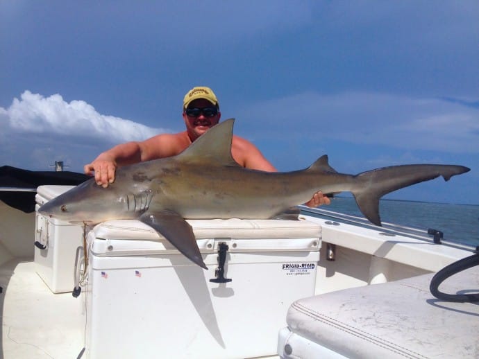 200 pound Bull Shark caught inshore of Captiva, Sanibel & Captiva Islands & Fort Myers Charters & Fishing Guide Service.