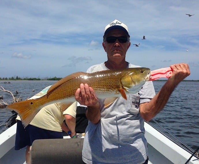 Redfish, Floyd, 1-16-14, Sanibel & Captiva Islands & Fort Myers Charters & Fishing Guide Service.