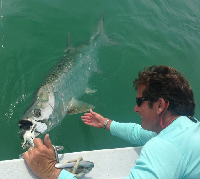 Tarpon, 5-29-14, Sanibel & Captiva Islands & Fort Myers Charters & Fishing Guide Service.