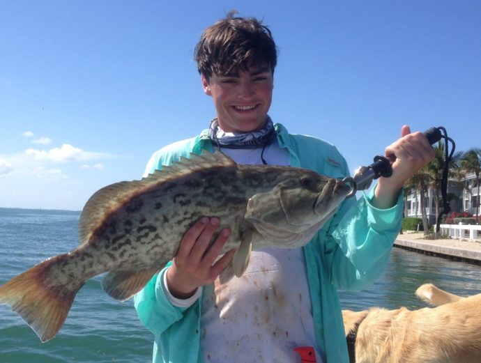 File Photo: Gag Grouper, Sanibel & Captiva Islands & Fort Myers Charters & Fishing Guide Service, May 7, 2017.