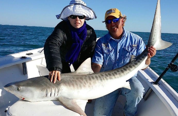Captiva Fishing, Jimmy Burnsed, Tiger Shark, Catch & Release, 3-31-15, Sanibel Fishing & Captiva Fishing & Fort Myers Fishing Charters & Guide Service.