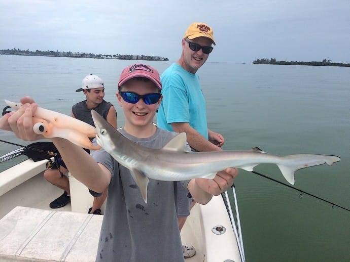 Captiva Fishing, Atlantic Sharpnose Shark, 4-23-15, Sanibel Fishing & Captiva Fishing & Fort Myers Fishing Charters & Guide Service.