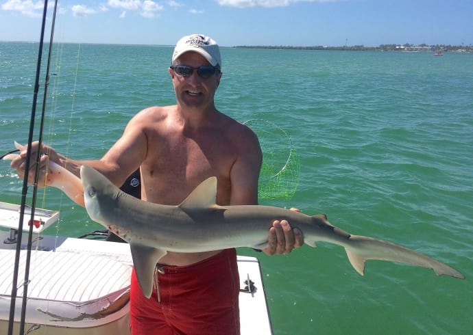 Captiva Fishing, Shark, 4-12-15, Sanibel Fishing & Captiva Fishing & Fort Myers Fishing Charters & Guide Service.