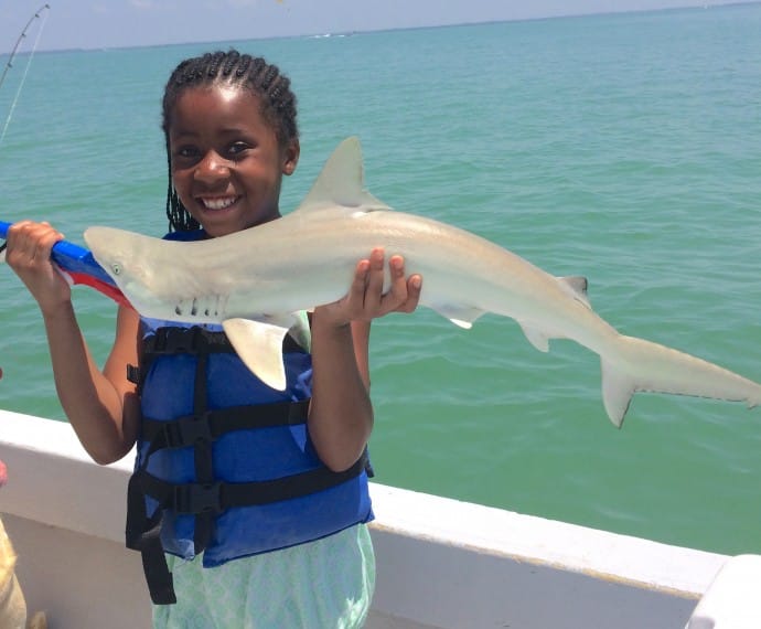Captiva Fishing, Atlantic Sharpnose Shark, 4-28-15, Sanibel Fishing & Captiva Fishing & Fort Myers Fishing Charters & Guide Service.