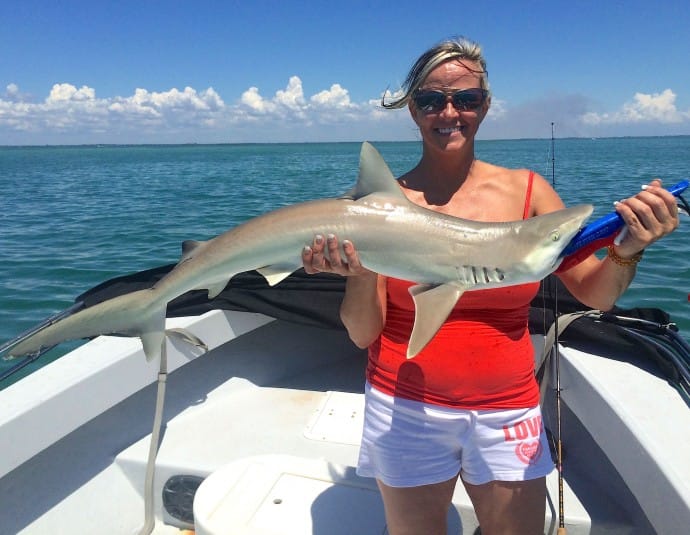 Captiva Fishing, Sharpnose Shark, 5-8-15, Sanibel Fishing & Captiva Fishing & Fort Myers Fishing Charters & Guide Service.