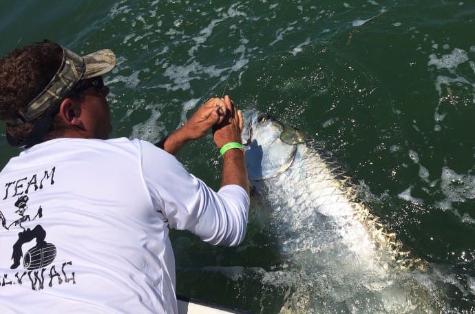 Captiva Fishing, Tarpon, 5-10-15, Josh Schardin's Team Scallywag, 2015 "Ding Darling" & Doc Ford's Tarpon Tournament, 5-9-15.