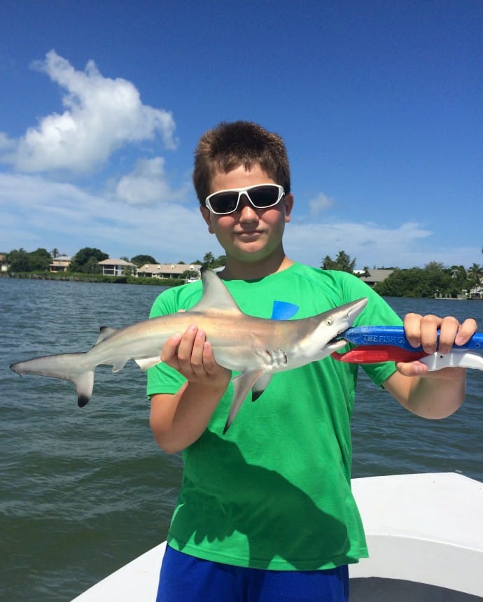 Sanibel Fishing & Captiva Fishing, Blacktip Shark,, Redfish Pass, Wednesday, 6-17-15, Sanibel Fishing & Captiva Fishing & Fort Myers Fishing Charters & Guide Service.