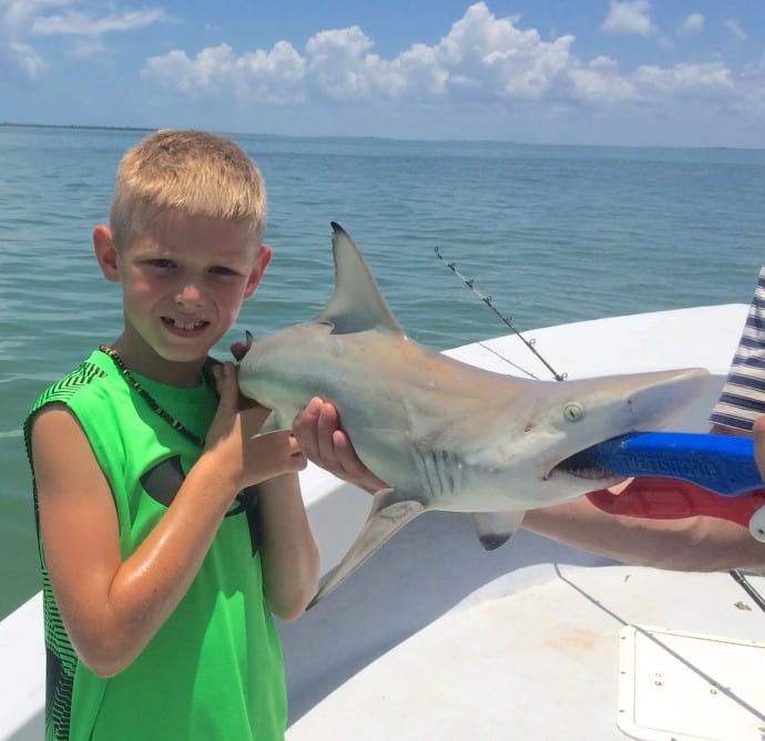 Sanibel Fishing & Captiva Fishing, Blacktip Shark,, Captiva Pass, Thursday, 6-18-15, Sanibel Fishing & Captiva Fishing & Fort Myers Fishing Charters & Guide Service.