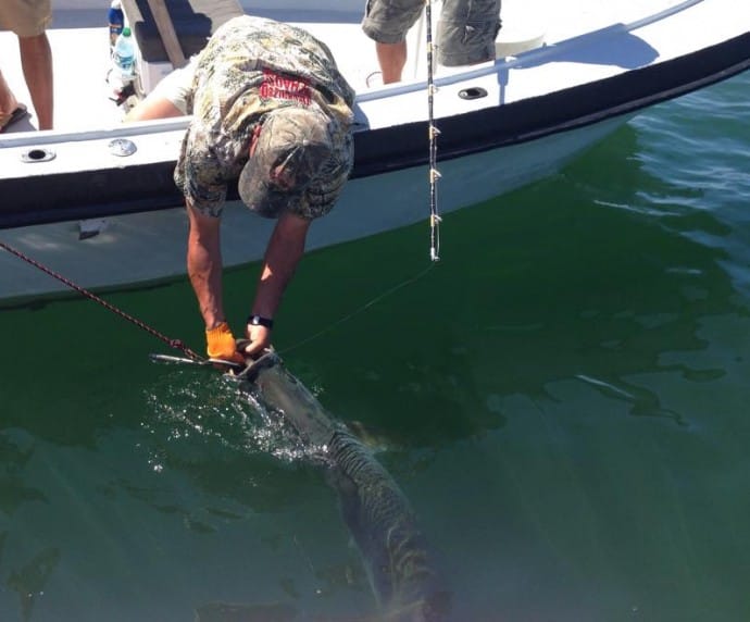 Sanibel Fishing & Captiva Fishing, Lamar With Winning Tarpon, Boca Grande Pass, Congrats to Team Organized Chaos, the 2015 Sea Hunt Boat Company Tarpon Cup Champions!!!! Monday, 6-8-15, Sanibel Fishing & Captiva Fishing & Fort Myers Fishing Charters & Guide Service.