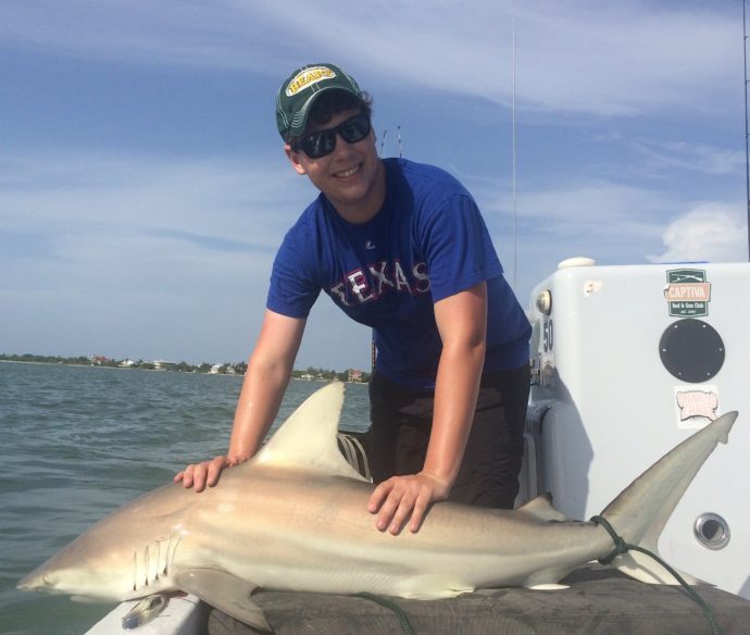 Blacktip Sharks, Sanibel Fishing & Captiva Fishing, Monday, 7-6-15. ~ #Sanibel #Captiva.