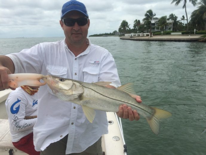 Snook 2, Sanibel Fishing & Captiva Fishing, Saturday, 7-26-15 ~ #Sanibel #Captiva.