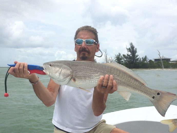 Redfish, Sanibel Fishing & Captiva Fishing, Friday, 7-17-15 ~ #Sanibel #Captiva.