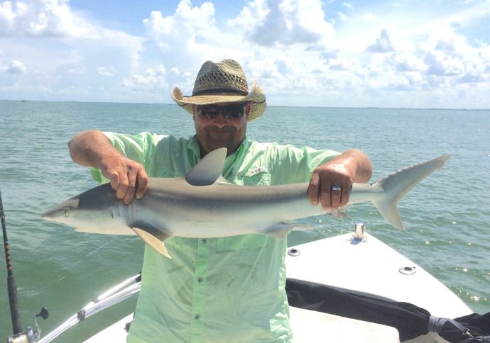 Shark, Catch & Release, Sanibel Fishing & Captiva Fishing, Wednesday, 7-15-15 ~ #Sanibel #Captiva.