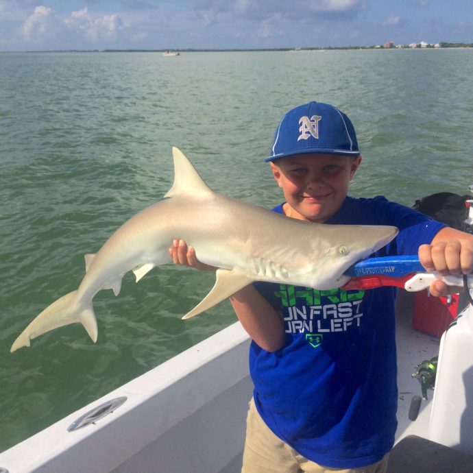 Blacknose Shark, Sanibel Fishing & Captiva Fishing, Wednesday, 7-22-15 ~ #Sanibel #Captiva.
