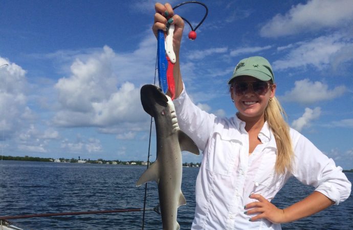 Bonnethead Shark, Sanibel Fishing & Captiva Fishing, Wednesday, 8-19-15 ~ #Sanibel #Captiva.