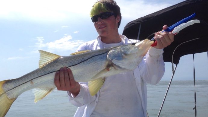 Snook, Sanibel Fishing & Captiva Fishing, Friday, 8-28-15 ~ #Sanibel #Captiva.