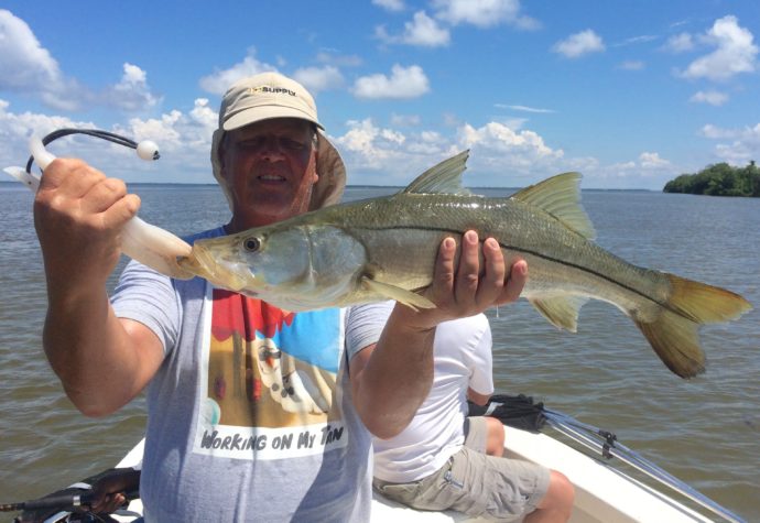 Snook, Sanibel Fishing & Captiva Fishing, Saturday, 9-26-15 ~ #Sanibel #Captiva.