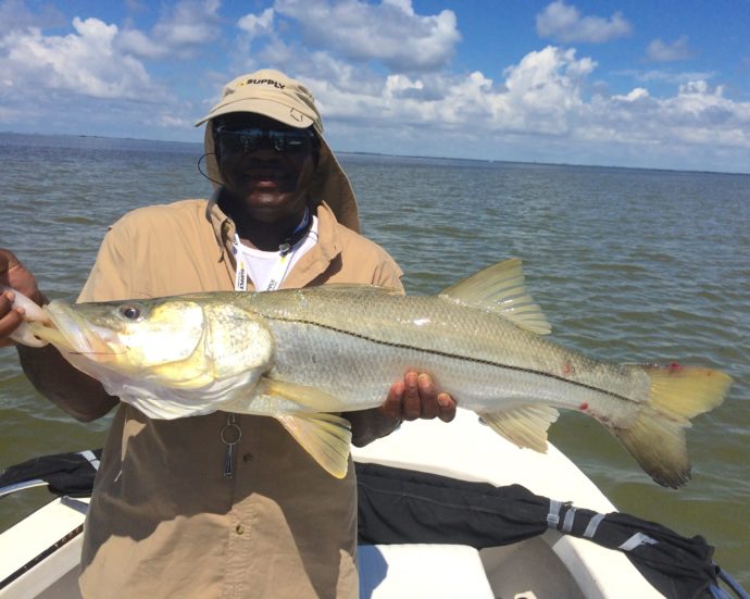 Snook, Sanibel Fishing & Captiva Fishing, Monday, 9-21-15 ~ #Sanibel #Captiva.