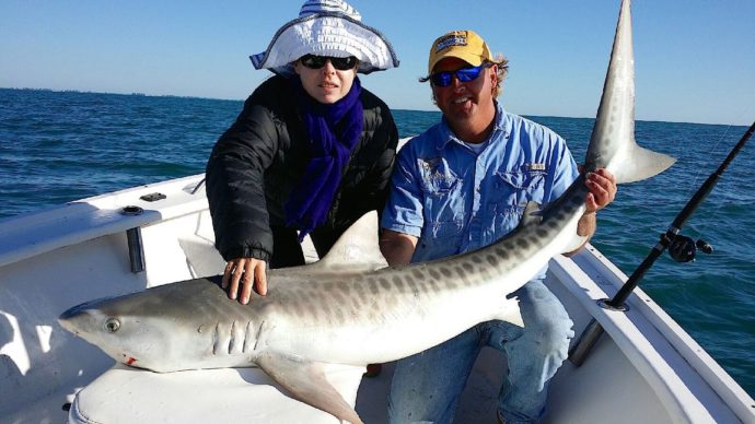 Tiger Shark, Jimmy, Sanibel Fishing & Captiva Fishing, Thursday, 9-10-15 ~ #Sanibel #Captiva.
