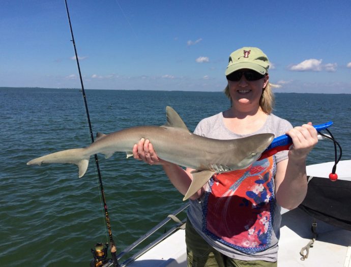 Blacknose Shark, Sanibel Fishing & Captiva Fishing, Tuesday, 10-13-15 ~ #Sanibel #Captiva.