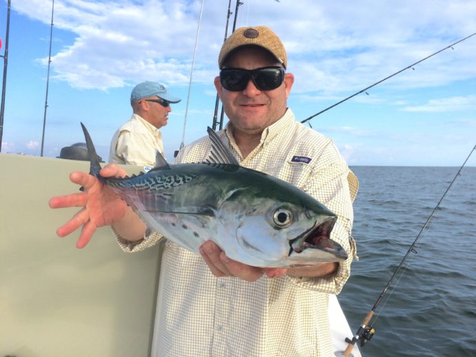 False Albacore Tuna, Bonita, Sanibel Fishing & Captiva Fishing, Sunday, 10-11-15 ~ #Sanibel #Captiva.