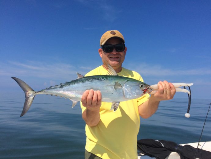 False Albacore Tuna, Bonita, Sanibel Fishing & Captiva Fishing, Saturday, 10-10-15 ~ #Sanibel #Captiva.