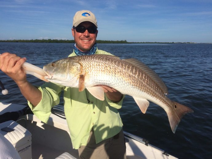 Redfish, Sanibel Fishing & Captiva Fishing, Saturday, November 4, 2017, [File Photo - Saturday, 10-31-15] .