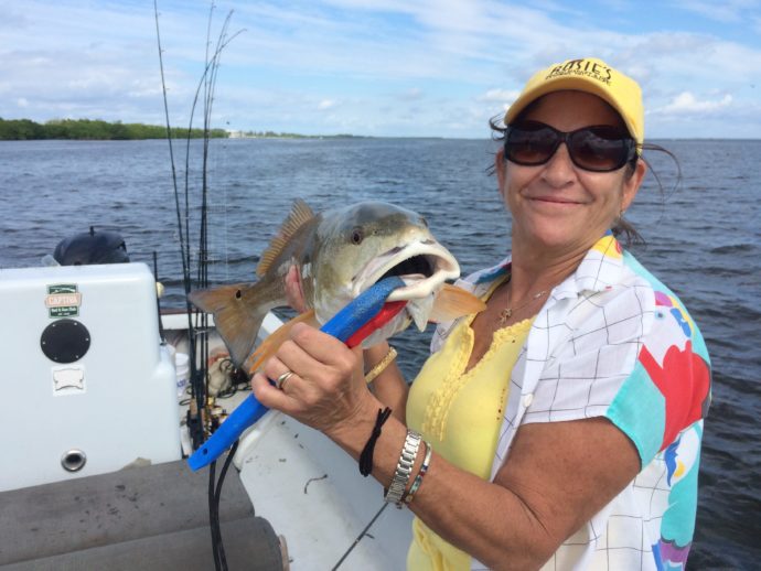 Redfish, Sanibel Fishing & Captiva Fishing, Friday, 10-2-15 ~ #Sanibel #Captiva.
