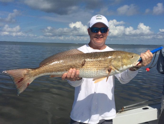 Redfish, Sanibel Fishing & Captiva Fishing, Friday, 10-30-15 ~ #Sanibel #Captiva.