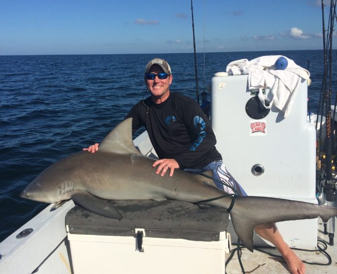 Bull Shark, Sanibel Fishing & Captiva Fishing, Wednesday, 11-4-15 ~ #Sanibel #Captiva.