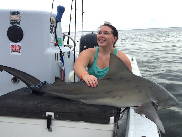Bull Shark, Catch & Release, Sanibel Fishing & Captiva Fishing, Sunday, 11-22-15 ~ #Sanibel #Captiva.