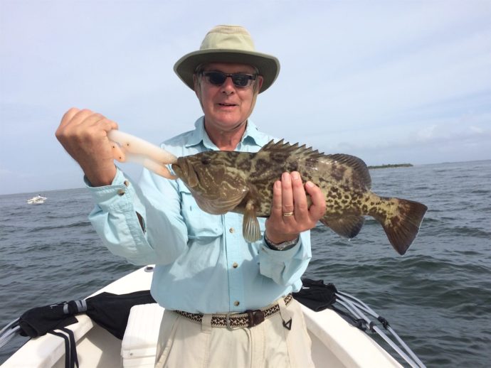 Grouper, Sanibel Fishing & Captiva Fishing, Friday, 11-20-15 ~ #Sanibel #Captiva.