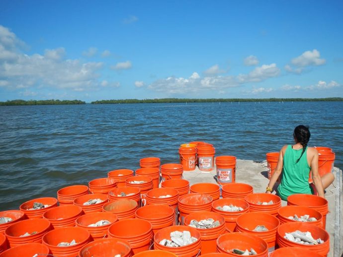 Sanibel-Captiva Oyster Bar Restoration, Courtesy Of SCCF, 11-3-15