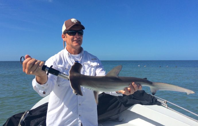 Hammerhead Shark, Sanibel Fishing & Captiva Fishing, Friday, 11-27-15 ~ #Sanibel #Captiva.