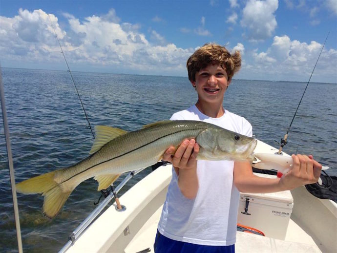 Snook, Sanibel Fishing & Captiva Fishing, Wednesday, 11-18-15 ~ #Sanibel #Captiva.
