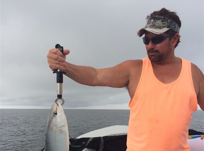 Amberjack, Sanibel Fishing & Captiva Fishing, Monday, 12-7-15 ~ #Sanibel #Captiva.