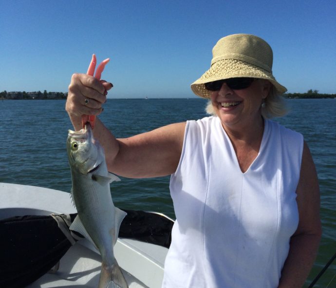 Bluefish, Sanibel Fishing & Captiva Fishing, Monday, 12-21-15 ~ #Sanibel #Captiva.