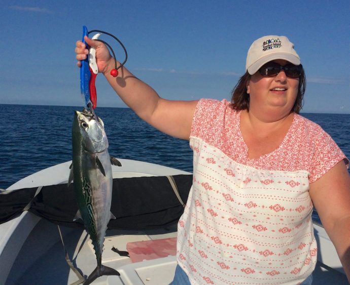 Bonita, Bonito, Little Tunny, False Albacore, Sanibel Fishing & Captiva Fishing, Thursday, 12-10-15 ~ #Sanibel #Captiva.