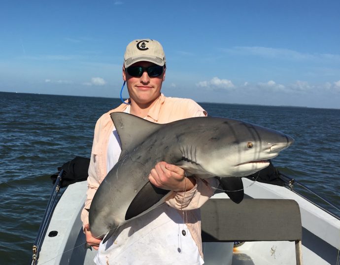 Bull Shark, Sanibel Fishing & Captiva Fishing, Wednesday, 12-30-15 ~ #Sanibel #Captiva.