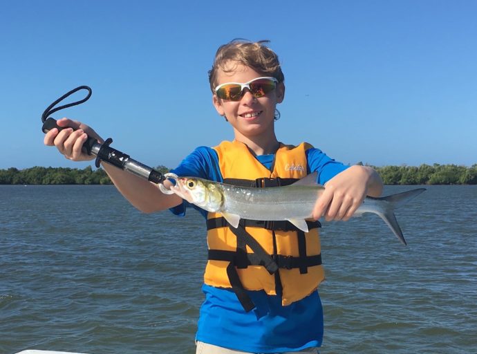 Ladyfish, Sanibel Fishing & Captiva Fishing, Tuesday, 12-29-15 ~ #Sanibel #Captiva.