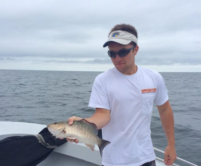 Mangrove Snapper, Sanibel Fishing & Captiva Fishing, Saturday, 12-5-15 ~ #Sanibel #Captiva.