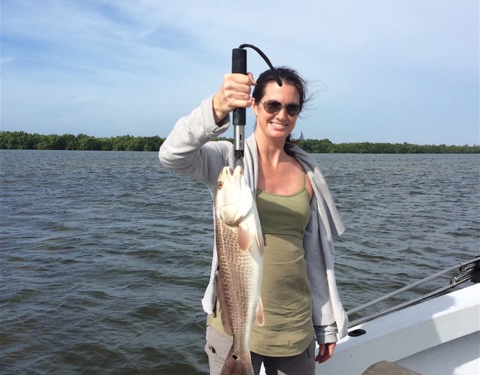 Redfish, Sanibel Fishing & Captiva Fishing, Saturday, 12-26-15 ~ #Sanibel #Captiva.