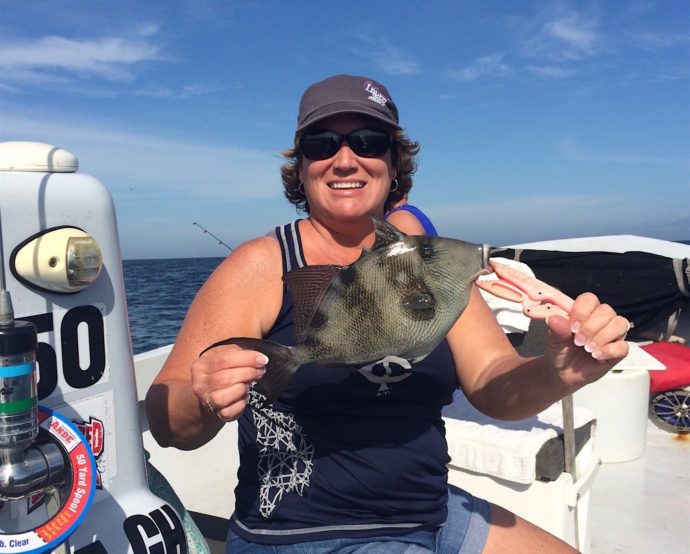 Triggerfish, Sanibel Fishing & Captiva Fishing, Friday, 12-18-15 ~ #Sanibel #Captiva.