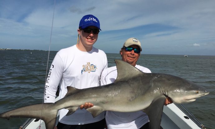 Bull Shark, Catch & Release, Sanibel Fishing & Captiva Fishing, Friday, 1-1-16 ~ #Sanibel #Captiva.