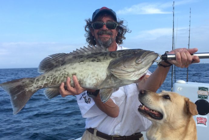 Gag Grouper, Catch & Release, Sanibel Fishing & Captiva Fishing, Thursday, 1-7-16 ~ #Sanibel #Captiva.