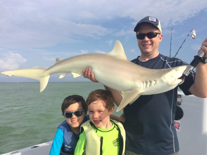 Blacknose Shark, Sanibel Fishing & Captiva Fishing, Saturday, March 26, 2016 ~ #Sanibel #Captiva.