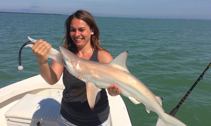 Blacktip Shark, Sanibel Fishing & Captiva Fishing, Monday, March 21, 2016 ~ #Sanibel #Captiva.